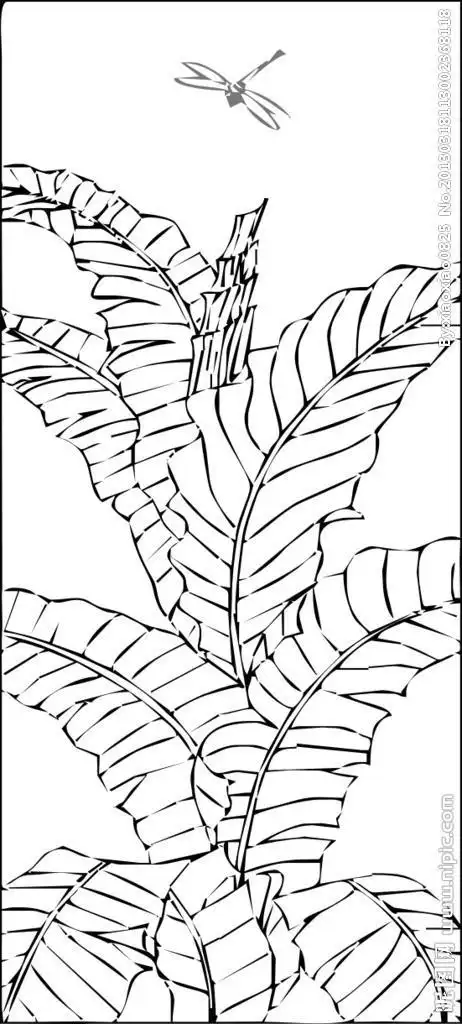 幼儿园芭蕉叶简笔画