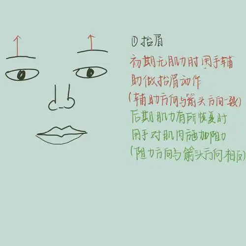 抬眉并且观察①患侧有抬头纹  中枢性②患侧无抬头纹  周围性引起面瘫