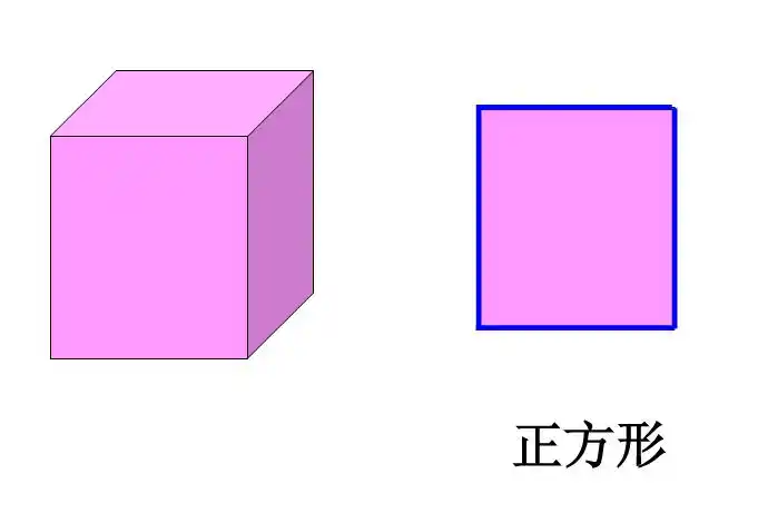 直观认识长方形,正方形和圆;知道这些图形的名称并能识别这些图形