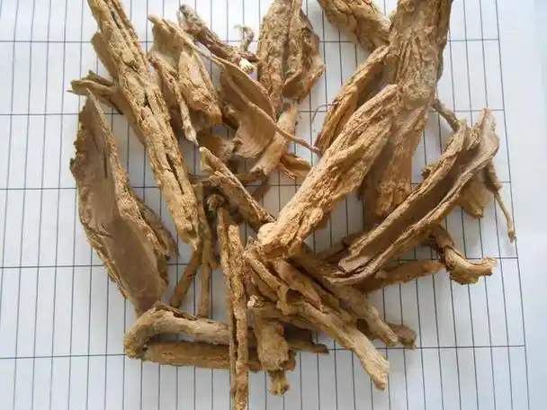 枸骨根正确吃法,枸杞根人称地骨皮(3)