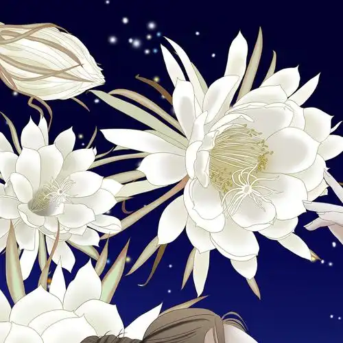 手绘月下美人昙花