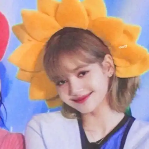 夏日日记荔枝cp头像自修