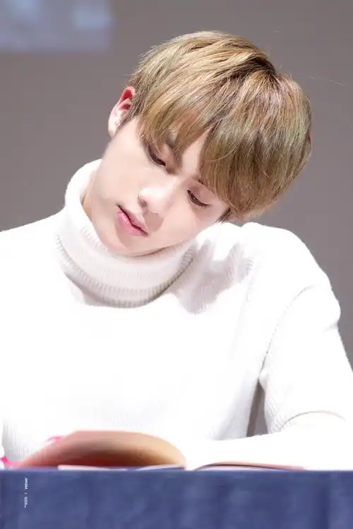 防弹少年团bts_金硕珍jin