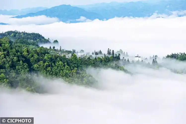 云雾缭绕宛如仙境