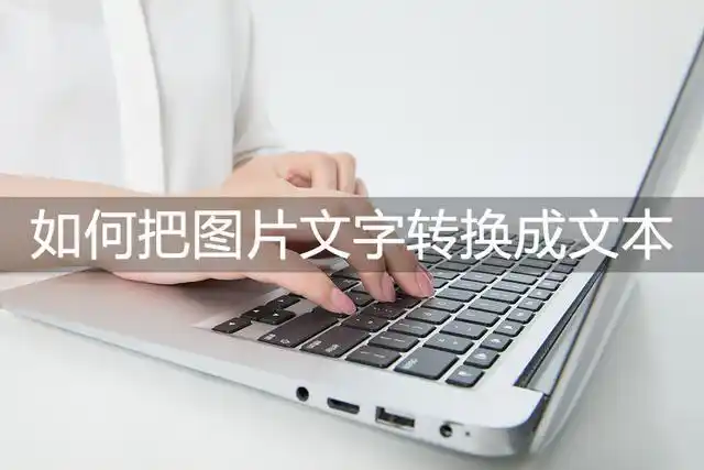 如何把图片文字转换成文本?这两种方法非常不错!