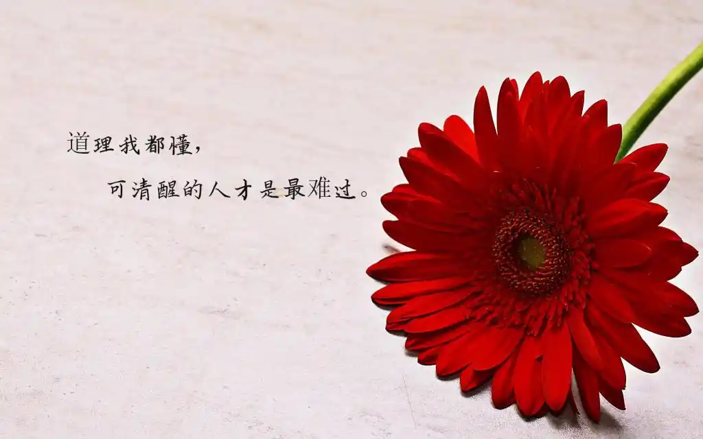 分手后最痛苦的人说说图片