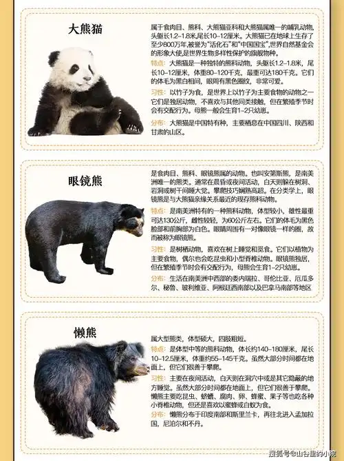 10大熊类图鉴大赏|你知道大熊猫为什么不用冬眠呢?