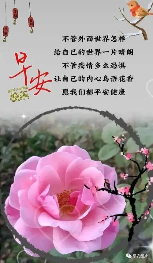 早安图片,早上好问候动态表情图片,最美早安问候祝福语图片大全_网易