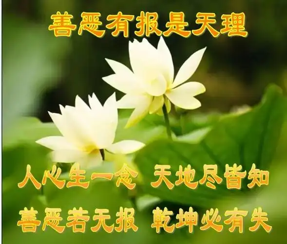 因果的真相用户评论-粉色卷耳兔长评-当当网