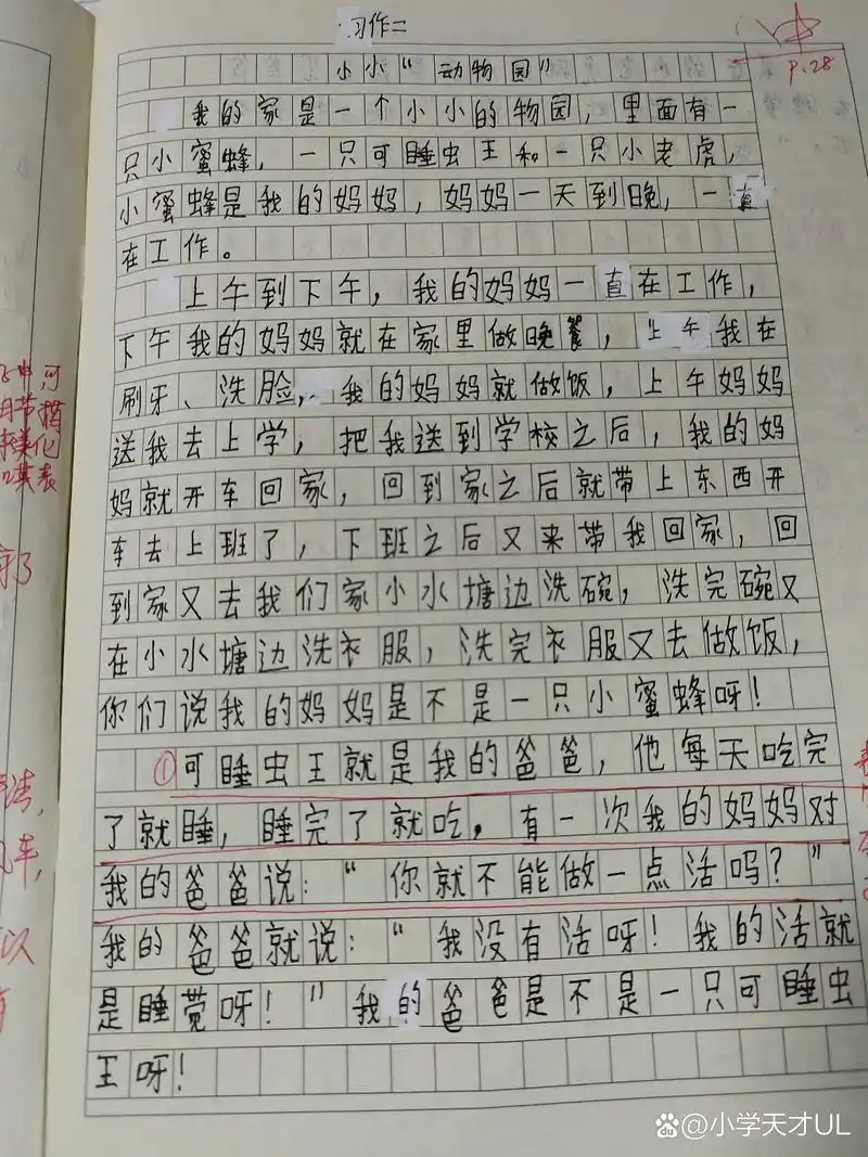 四年级上册第二单元作文400字.