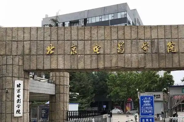学校下设电影学院,电视学院,美术学院,动画学院,戏剧影视文学院,录音