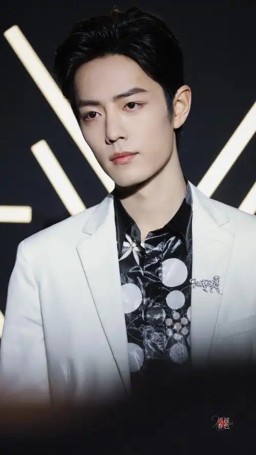 20191228腾讯星光大赏肖战