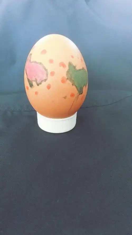 同学们拿出自己的创意和技巧,赋予鸡蛋不一样的色彩.