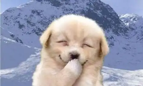 开口笑一笑,必定十年少