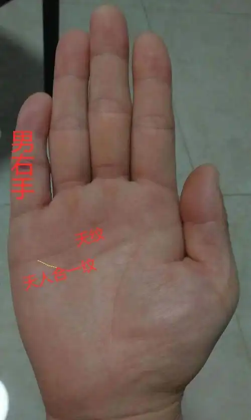 断掌纹的命运_男人断掌纹_断掌纹女人命运