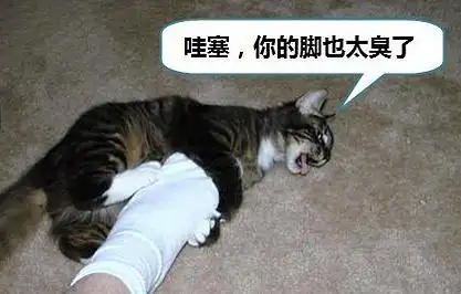 老公这双大臭脚让我这个家务娘头都大了