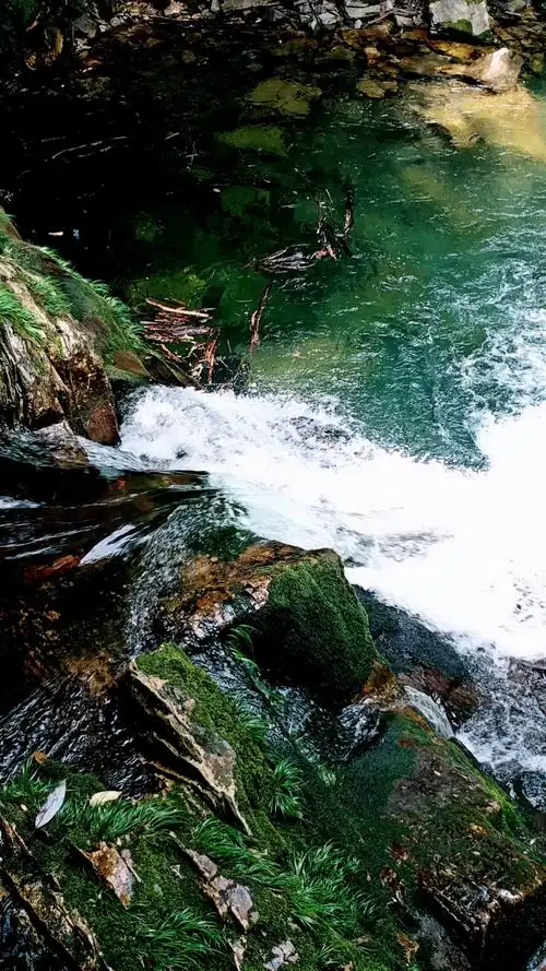 溪水奔腾,汩汩流淌!