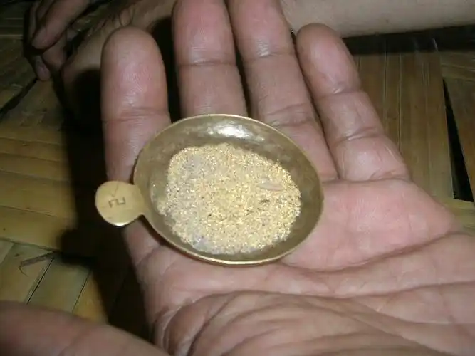 沙金机全自动小型沙金机多少钱