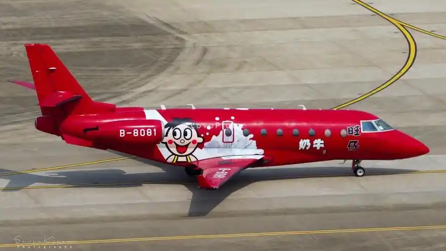 在深圳看到旺仔牛奶的飞机了豪华湾流私人飞机全场最靓的仔