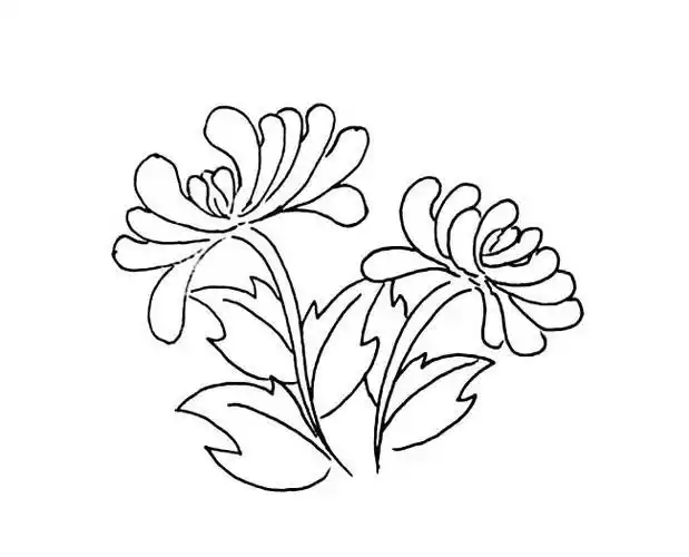 菊花点线面构成简笔画