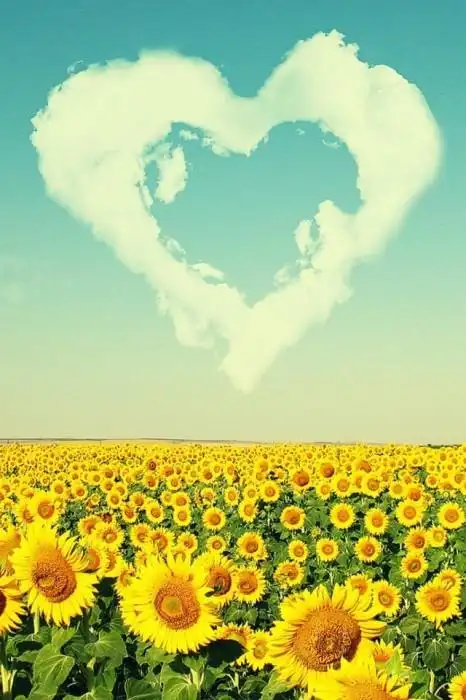 满满都有爱心的存在 唯美意境图片 | 小清新 - 芒果唯美图片(mangowed