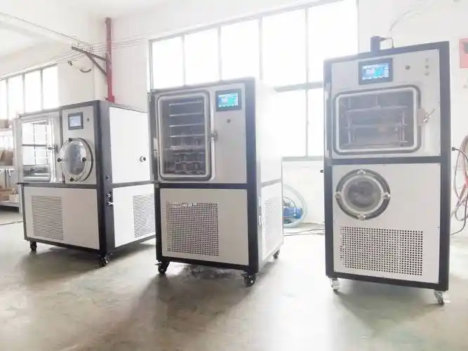 上海比朗中试冻干机系列(真空冷冻干燥机)