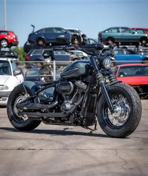 哈雷  #摩托车#改装  #街霸这么改,有点好看