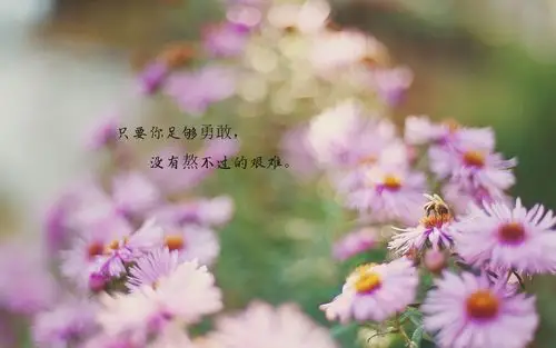 健身的心灵鸡汤经典语录