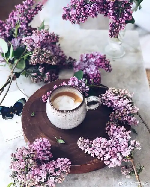 漂亮的日子 鲜花和咖啡不可或缺呀💐 | ins:birgittetheresa|鲜花|