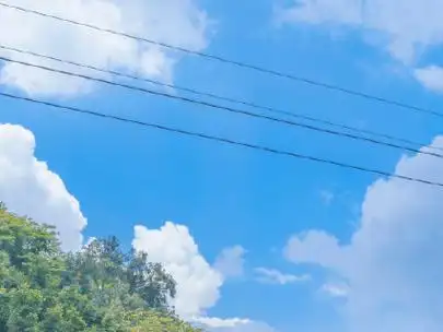 《醒图》天空滤镜参数调色教程滤镜:油画-爱丽丝调色