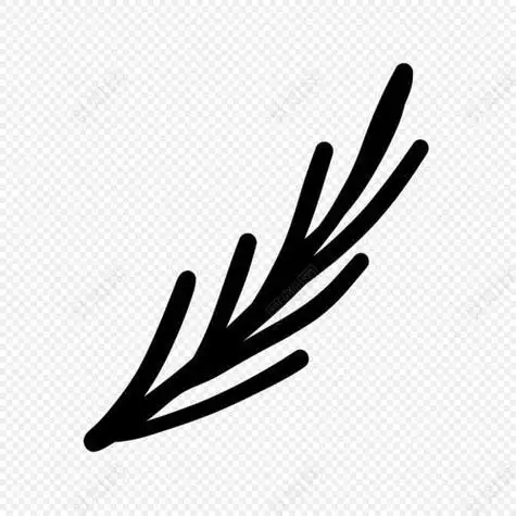 松树叶子简笔画 松树叶子简笔画图片大全可爱 | 第 3 页