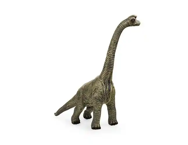 产品名称:20寸梁龙