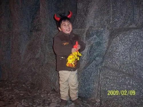 小牛牛给大家拜年了