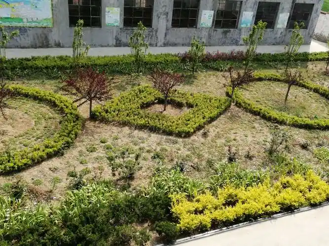 抓住春季有利时机,绿化美化校园