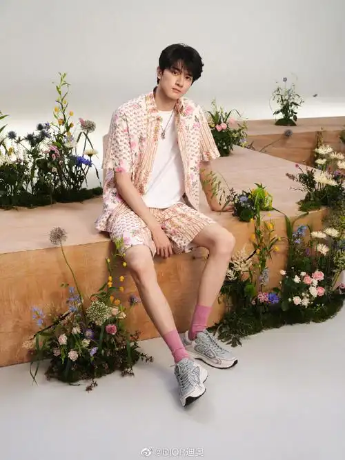 迪奥品牌大使林一