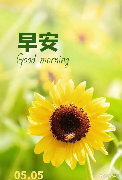 5月5日星期五,早安吉祥,陌上流年浅,人间岁月深!