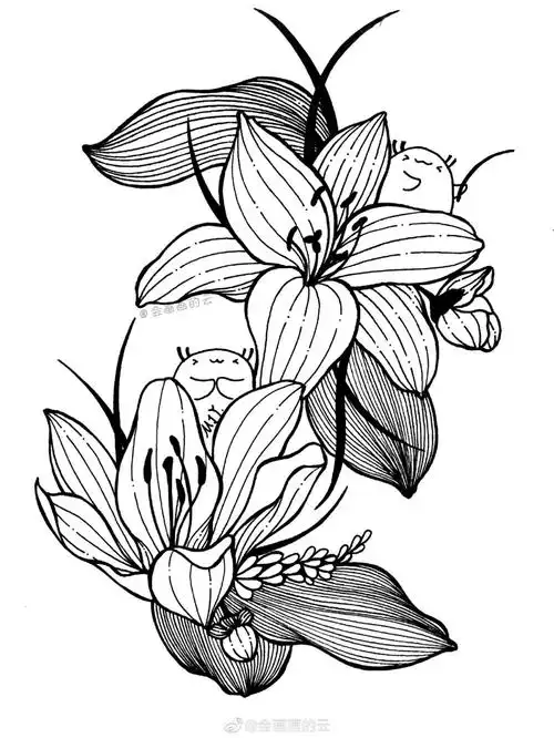 零基础线描花卉教程,超锻炼线条能力,画完就可以封神了)
