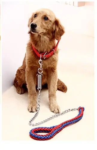 嘉瑞盈宠物狗绳子狗狗铁链1.7米 项圈狗链子牵引带小中大型犬用品