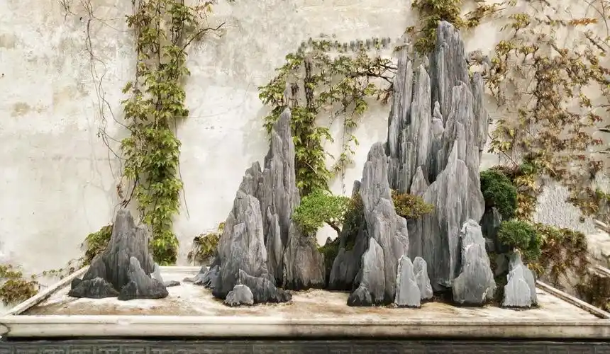 苏州园林,留园盆景-山石篇