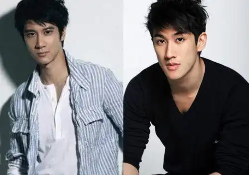 王力宏和吴尊像吗?