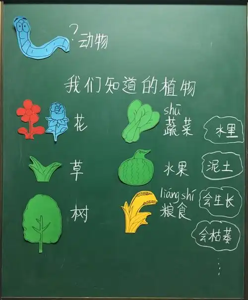 第一课的板书呈现这节课的重要内容.