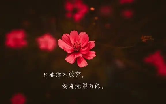 经典励志说说致自己带字配图