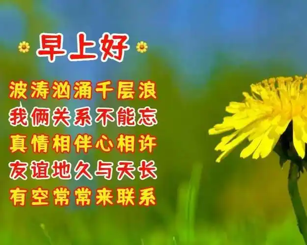 特别漂亮的早上好图片清晨问候语