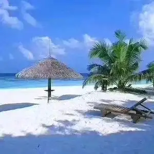 1w 抖音号:  711602112 品味人生 关注 合集 没有数据 作品470 喜欢