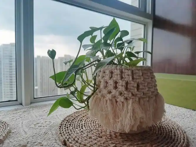 奶粉罐diy奶粉罐改造花瓶