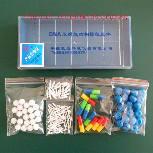 包邮 dna双螺旋结构模型组件j3242 高中生物 实验器材 教学仪器
