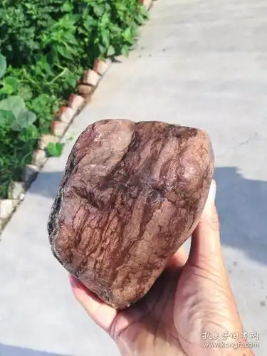 奇石原石木纹石一块