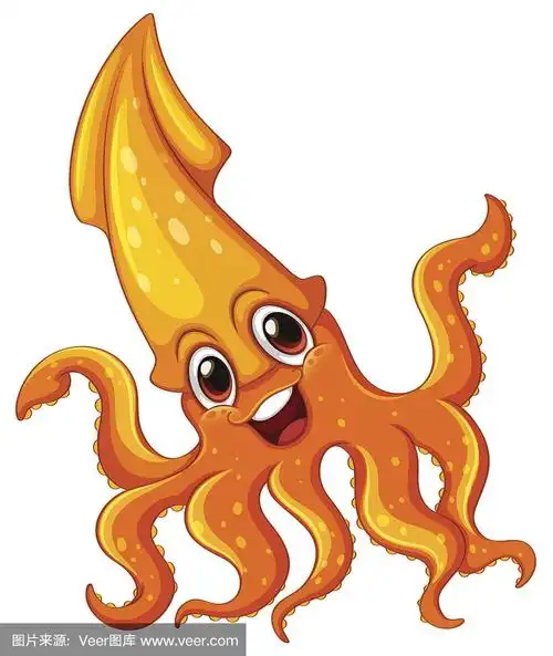 乌贼,可爱的,自然,白色背景,海产