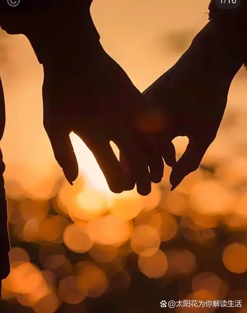 双手相扣图片两手相扣的图片爱情背景图温馨爱情图片温馨图片唯美意境