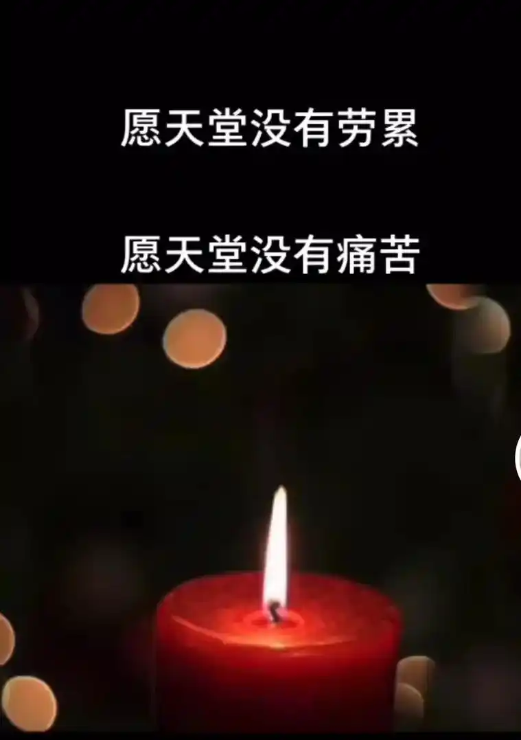 愿你在天堂没有疾病缠身, - 抖音